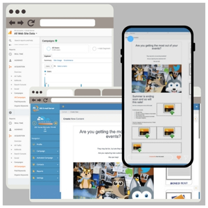 Custom Application Development: E-Mail Marketing Server