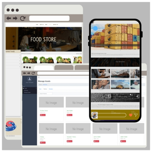 Custom Application Development: Argo Modular In-House Content Management System